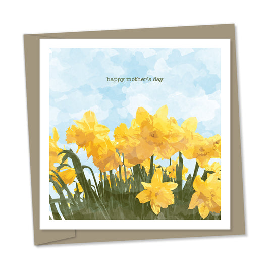daffodils – mother's day