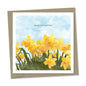 daffodils – mother's day
