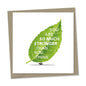 you are so much stronger than you think – ant with leaf